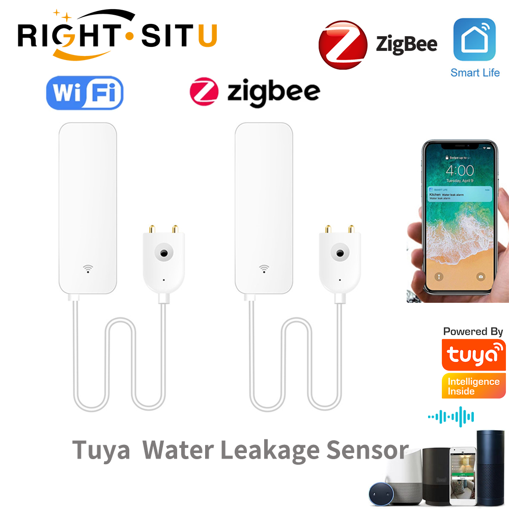 Home Security With Ai - Tuya WiFi Water Leak Sensor, Water