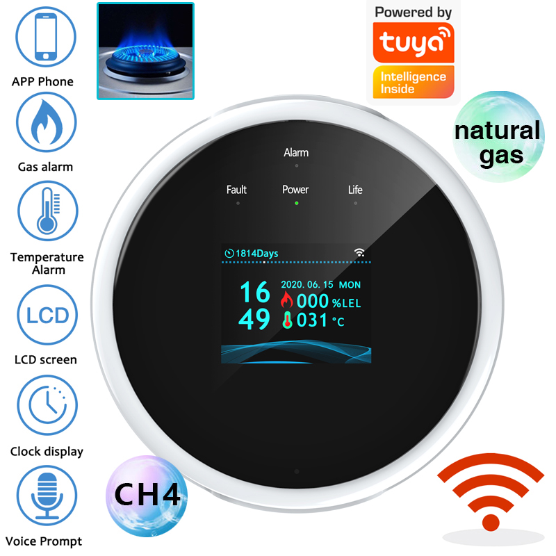 Home Security With Ai - 2.4G WiFi Gas Alarm Sensor Combustible