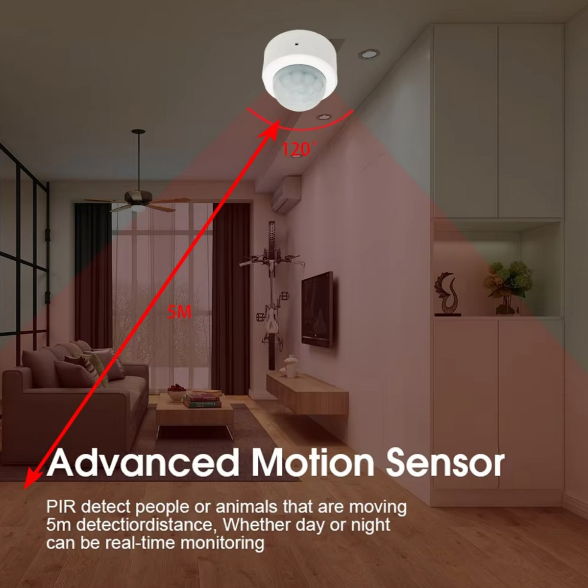 Zigbee PIR Motion Sensor Human - огляд і ціна Home Security Alarm