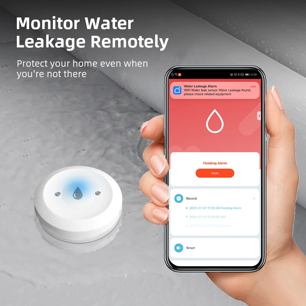 Zigbee Water Leak Sensor for T - огляд і ціна Home Security With Ai